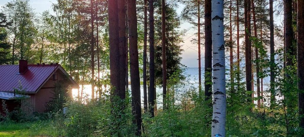 Pulla Karvisen Maatilamatkailussa Ruokola Exterior foto